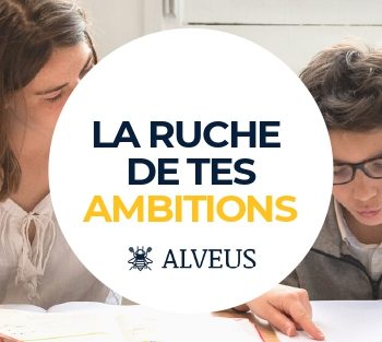 Alveus