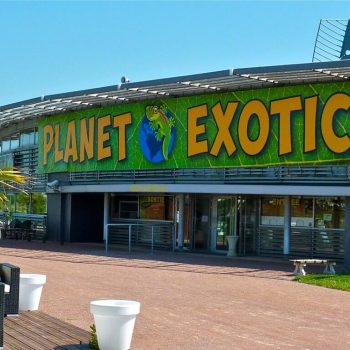 Planet Exotica
