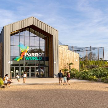 Parrotworld