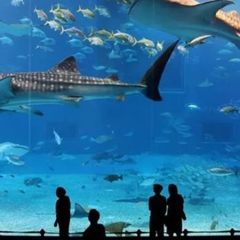 Tiqets – Aquarium Paris