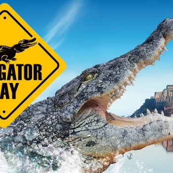 Tiqets – Alligator Bay