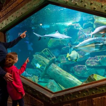 Tiqets – Aquarium Amnéville