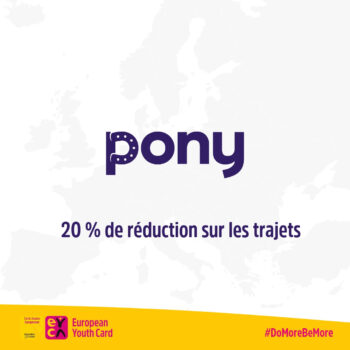 Pony