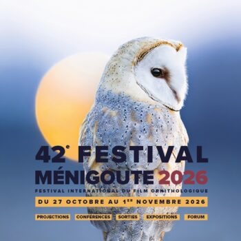 Festival Ménigoute