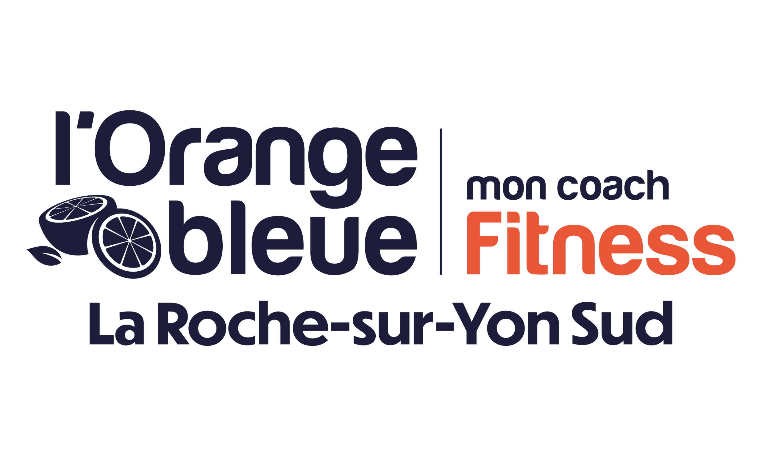 LOGO BLEU -LA ROCHE SUR YON SUD